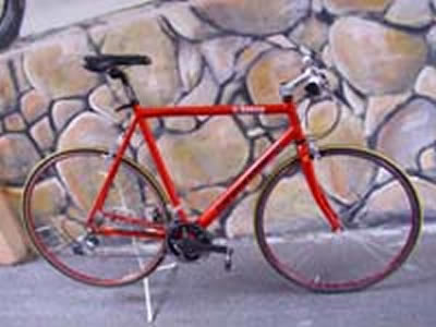 Eigenbau (CannondaleRahmen)